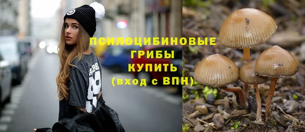 spice Магас