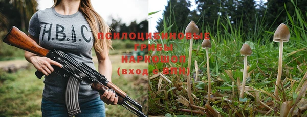 a pvp Медногорск
