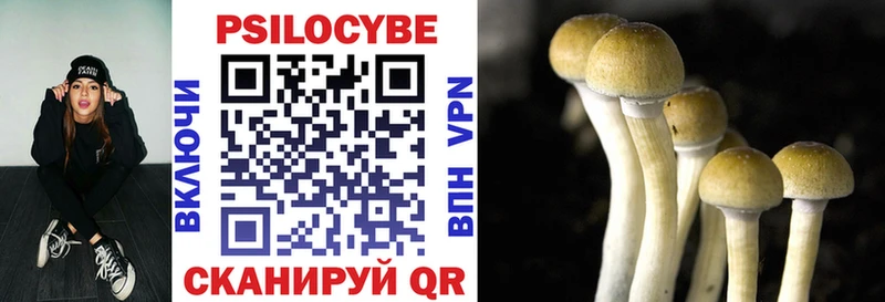 Псилоцибиновые грибы мухоморы  наркошоп  дарк нет наркотические препараты  Кувшиново 