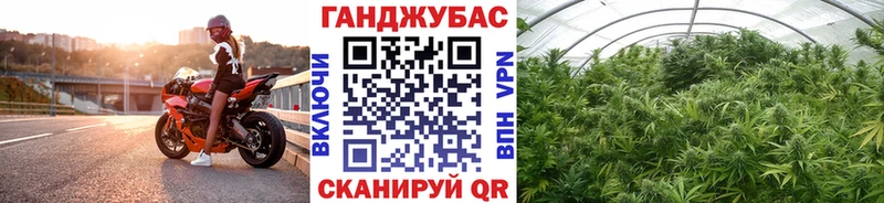 Бошки марихуана индика  Кувшиново 